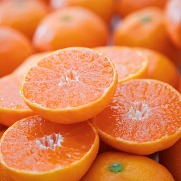 Miyamoto Orange Gardenについて