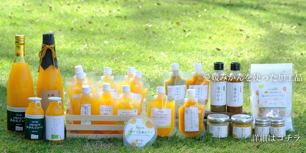 Miyamoto Orange Garden レビュー