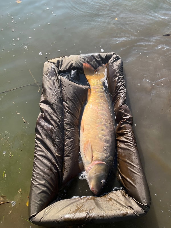 Acerca de MK Pesca