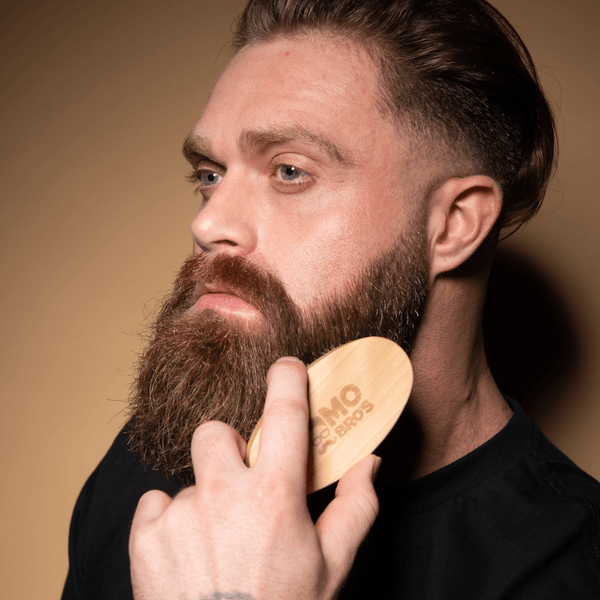 Mo Bro's Beard Brush Review