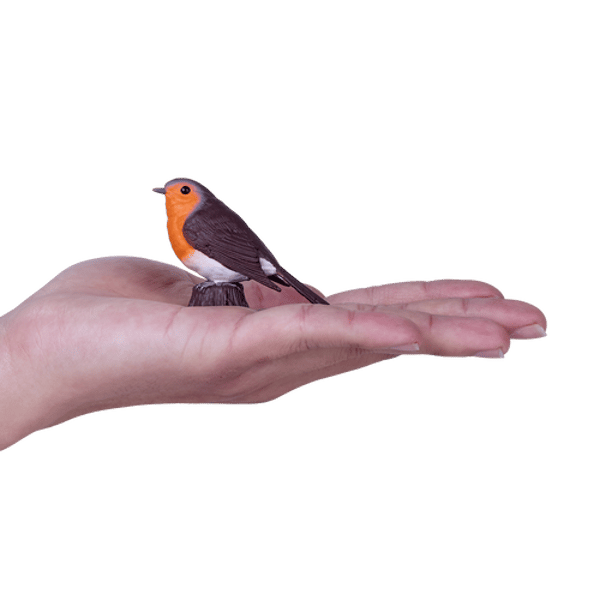 Mojo Fun Robin Reviews