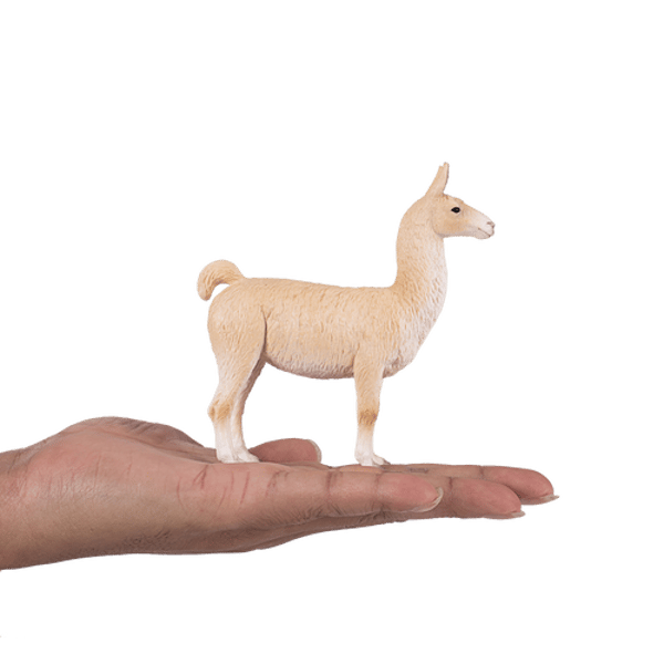 Mojo Fun Llama Reviews