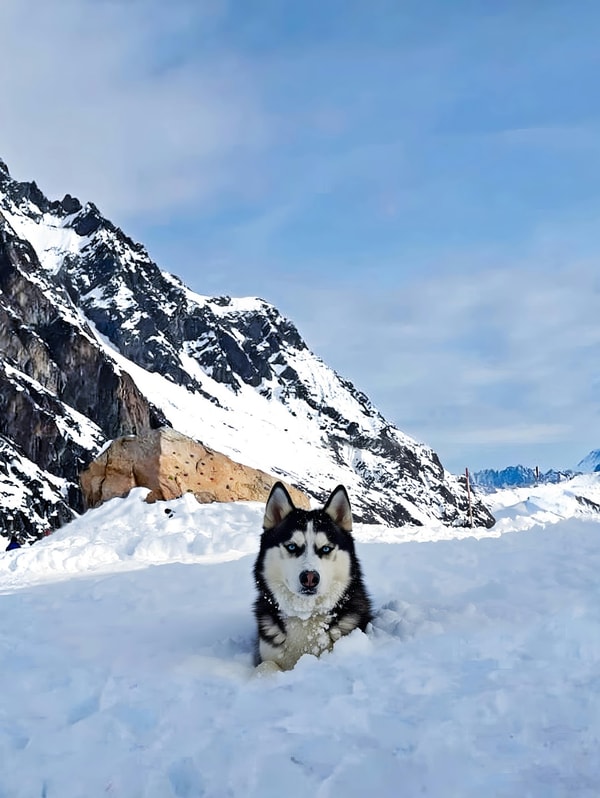 Montagne Vacances Avis