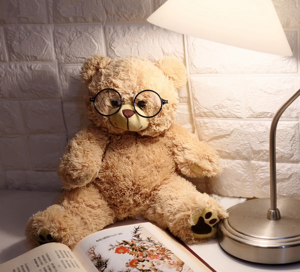 More Than a Bear 彩虹熊熊 評論