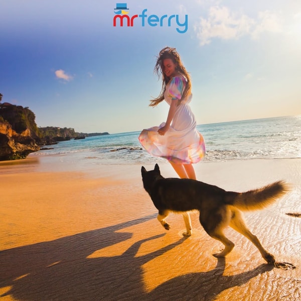Mr Ferry Rese&ntilde;a