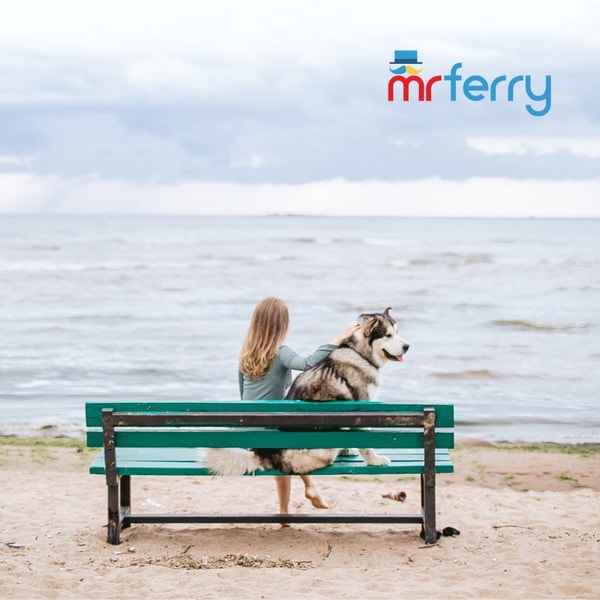 Mr Ferry Reserva de Billetes Rese&ntilde;a