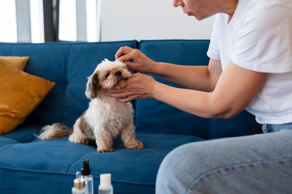 关于 Mu Zuo Pet