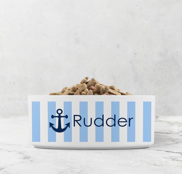 Multi Chic Personalized Ceramic Pet Bowl Reviews