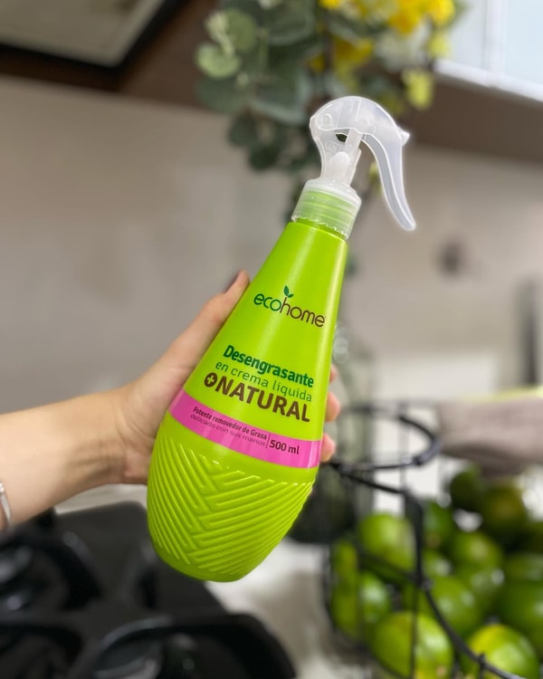Mundo Ecohome Rese&ntilde;a