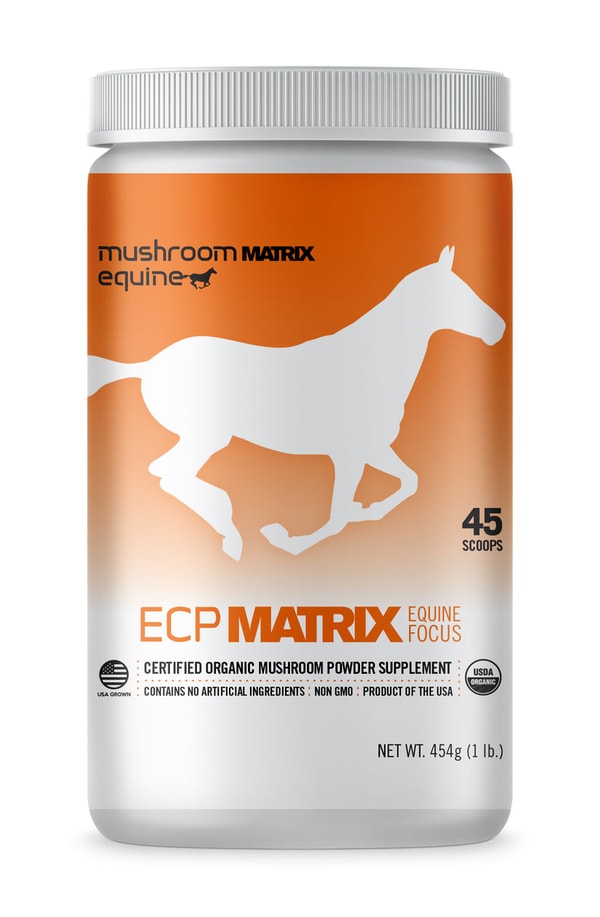 Mushroom Matrix ECP Matrix Review