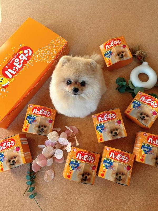 My Happy Turn レビュー