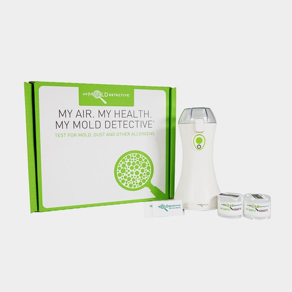 My Mold Detective Mold Test Kit Review