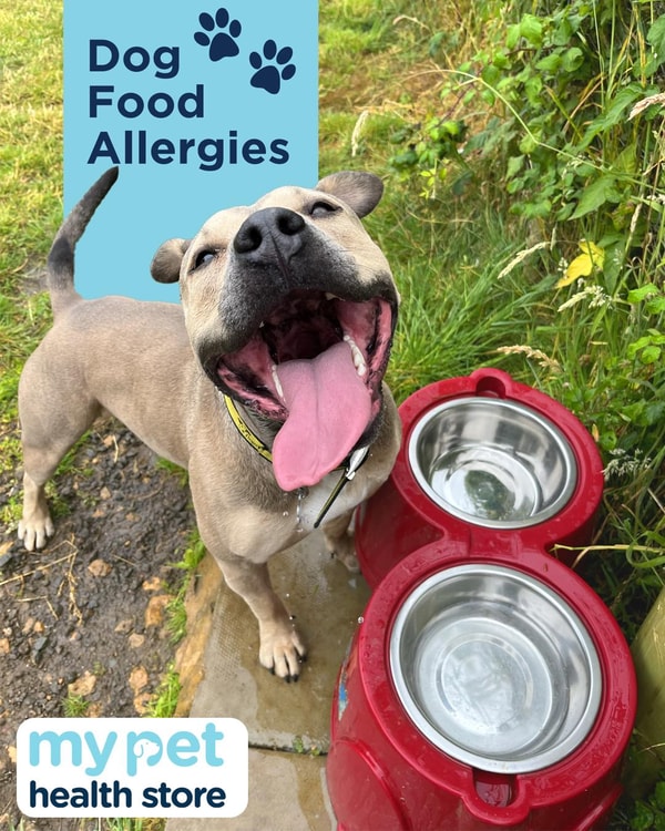 About My Pet Sensitivity