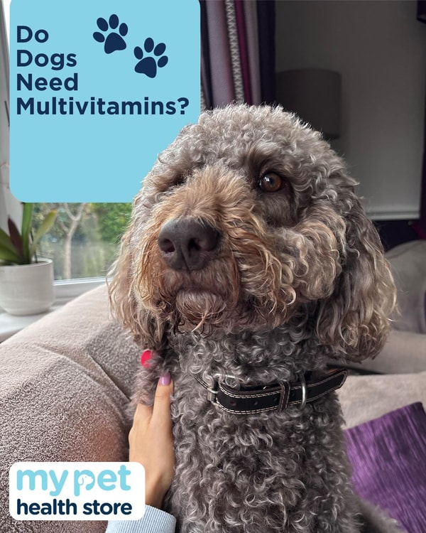 My Pet Sensitivity Review