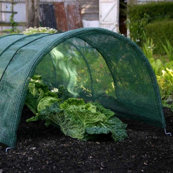 My Vegetable Garden Review