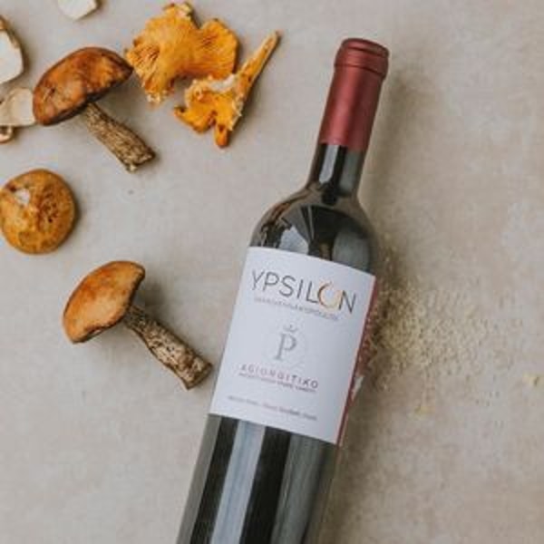 mygreekwine Bewertung