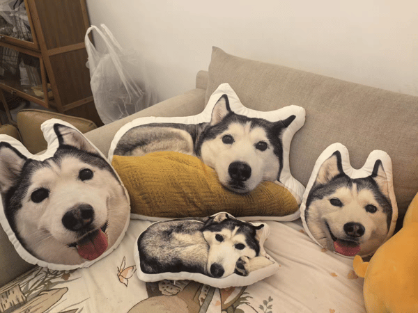 About Myminipets