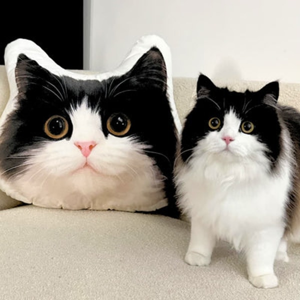 Myminipets Custom Pet Shaped Pillow Review
