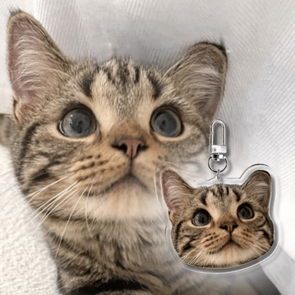 Myminipets Custom Cat Keychain Review
