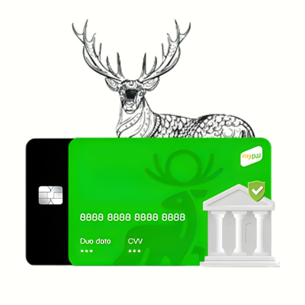 Mypal Pro Review