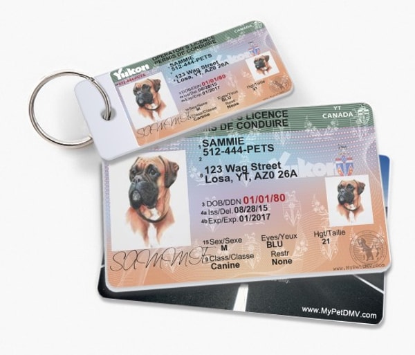 MyPetDMV Review