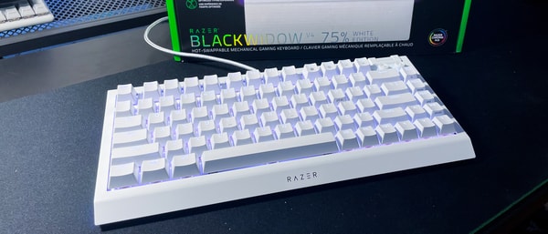 Razer BlackWidow V4 75% White Review