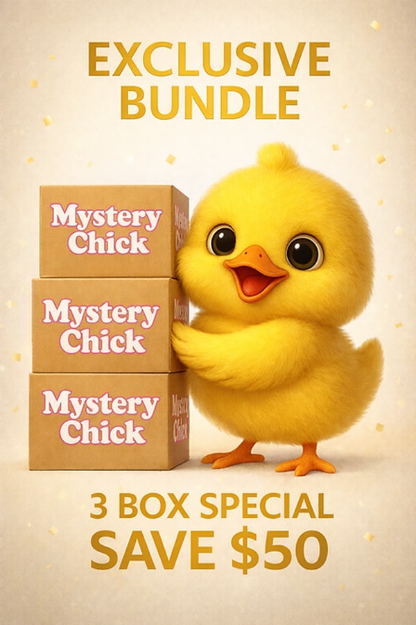 MysteryChick Unclaimed Returned Mail Super Box Review
