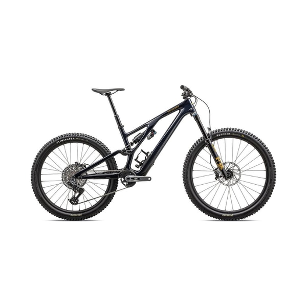 N+1 Bikes 2025 Specialized Stumpjumper Evo Expert Bike Reviews
