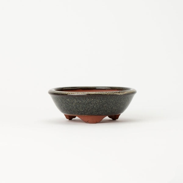 NAGINOWA Eimei Tokoname Ware Round with Legs Japanese Bonsai Review