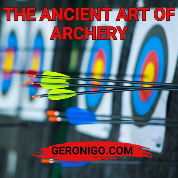 National Archery Combat Archery Review