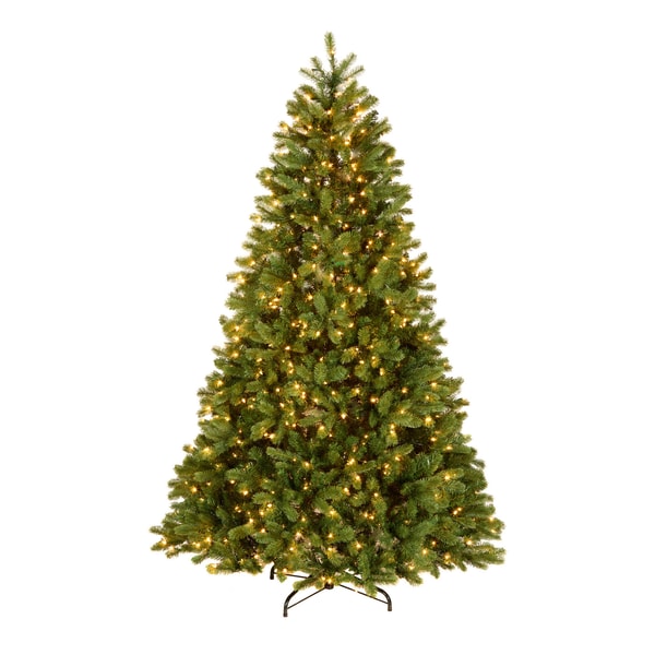 National Tree Company 7.5 ft. Pre-Lit Downswept Douglas Fir Tree with 750 Clear Lights & 1867 Branch Tips Review
