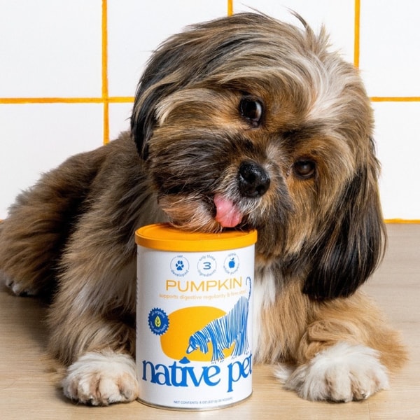 Native Pet Reviews: What Do Customers Think?