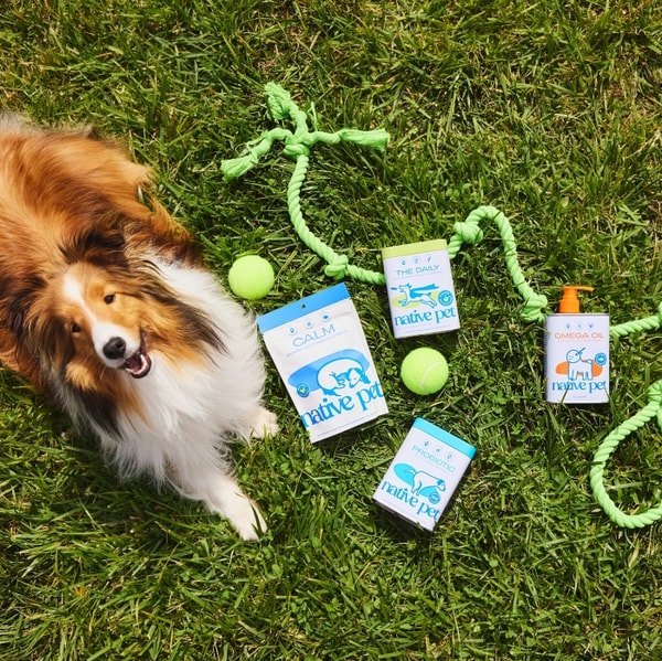 Native Pet Reviews