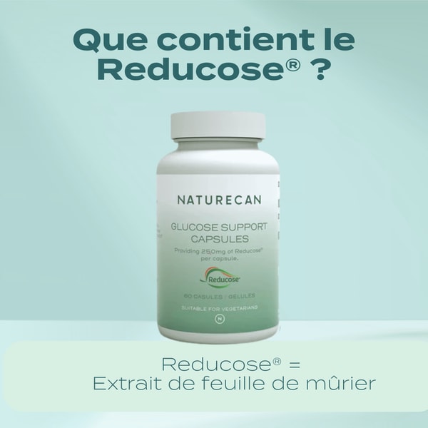 Naturecan G&eacute;lules de Soutien du Glucose Avis