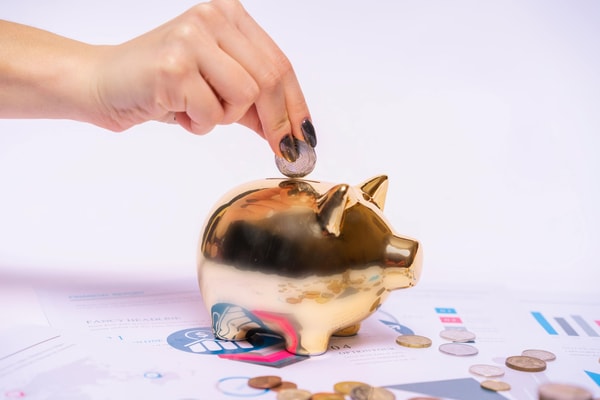 NatWest Rooster Money Virtual Money Tracker Review