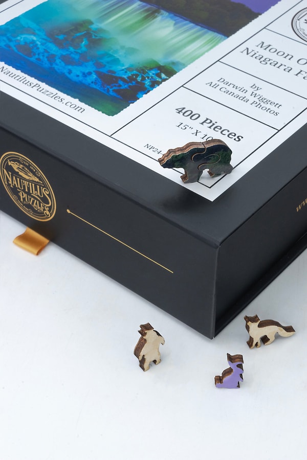 About Nautilus Puzzles
