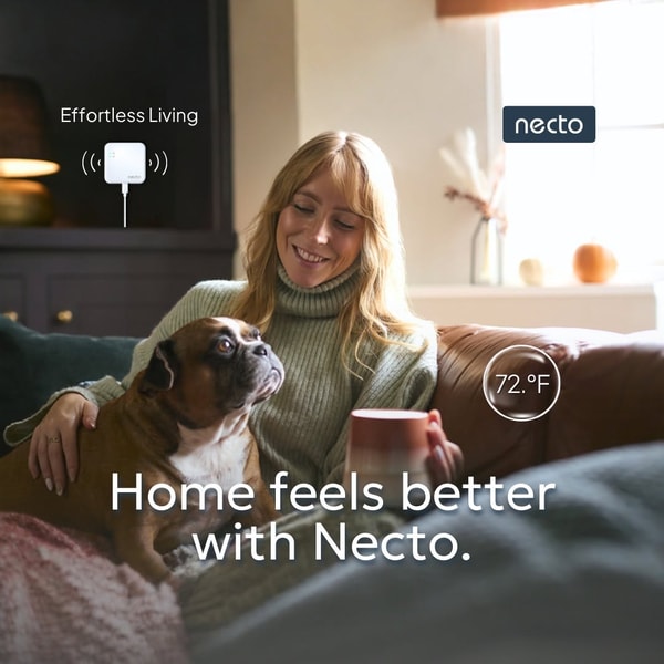 Necto Review