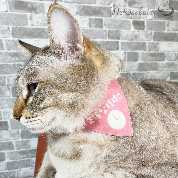Neko no Sodatekataについて