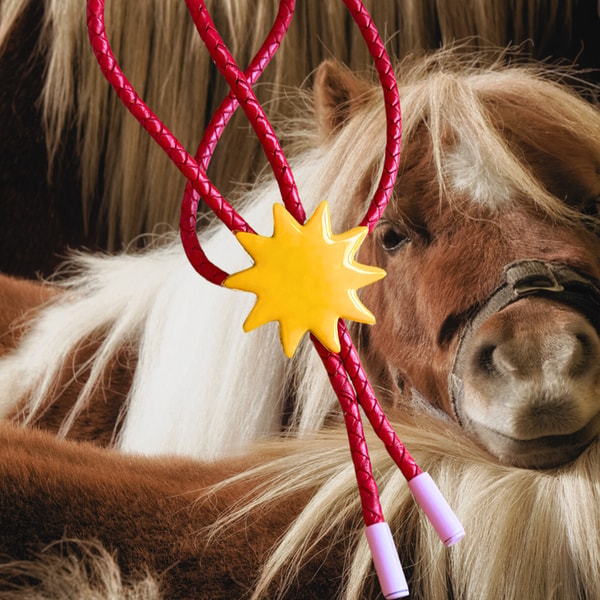 Nest Arao Bolo Tie Review