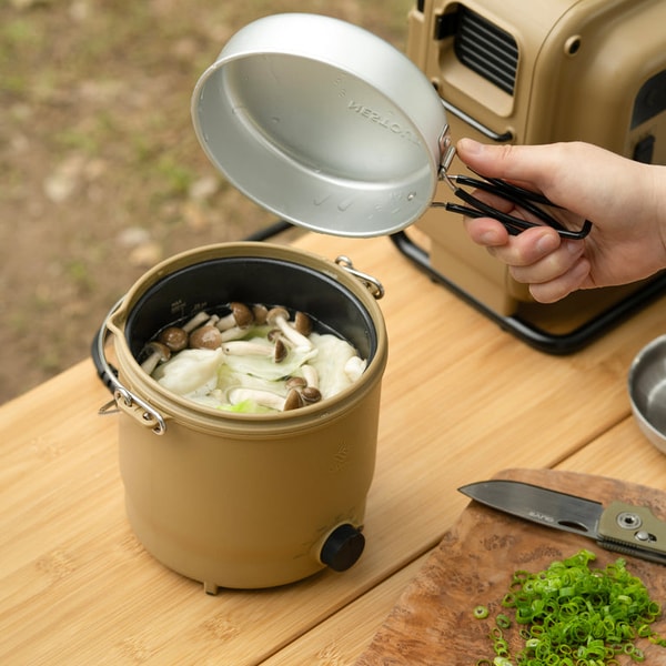 NESTOUT Outdoor Cooker 500W Review