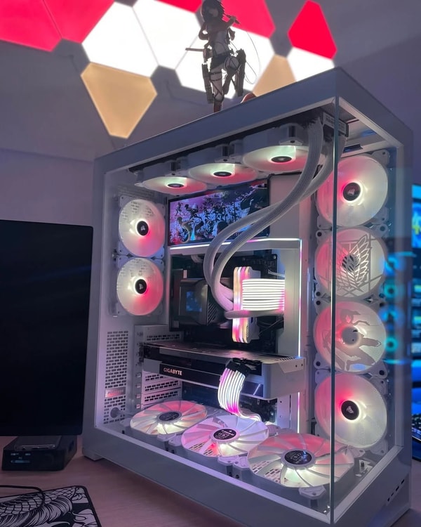 Newegg Review