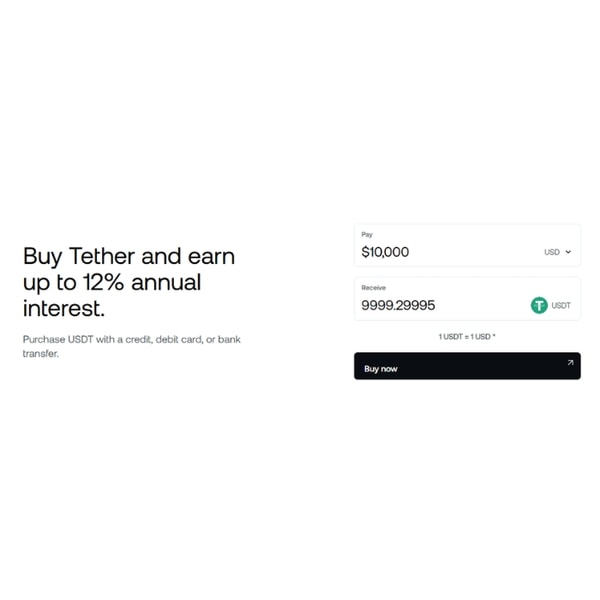 Nexo Tether Review