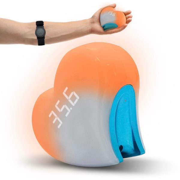Ninja Play Fitness Ninjapilot Review