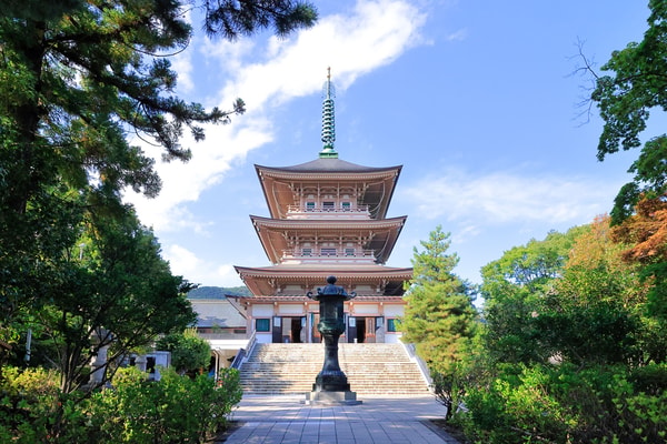 Nippon Travel Agencyについて