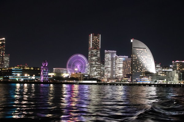Nippon Travel Agency 海外ツアー レビュー