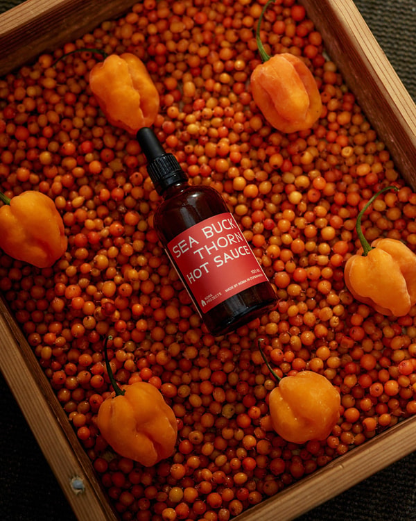 Noma Projects Sea Buckthorn Hot Sauce Review