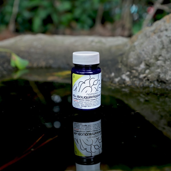 About Nootropics Depot