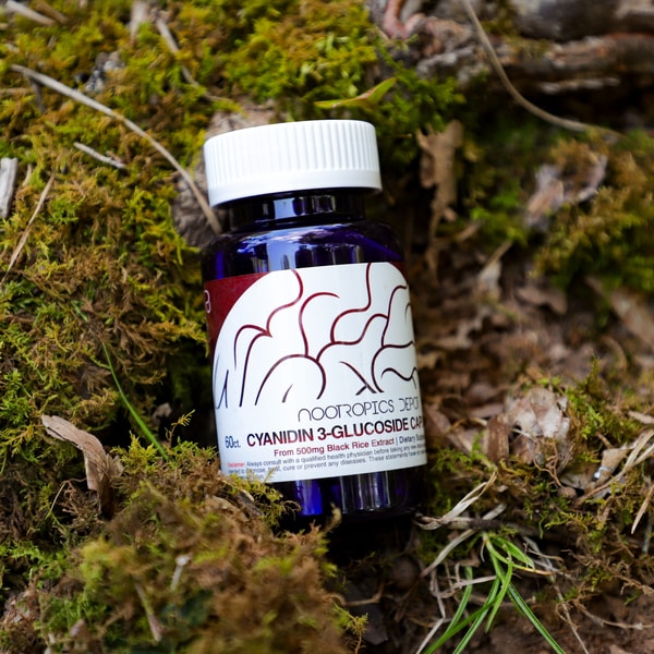 Nootropics Depot Review