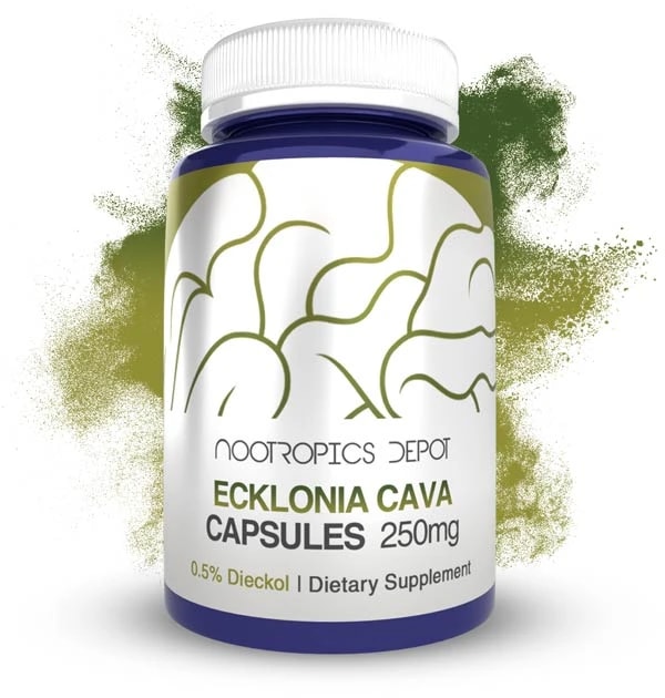 Nootropics Depot Ecklonia cava Capsules Review