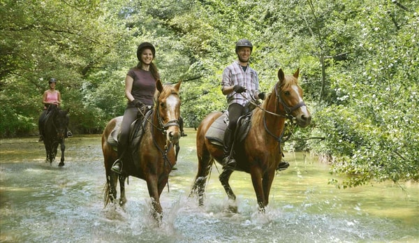 Not In The Guidebooks Tuscan Horse Riding Holiday (Beginners) Review